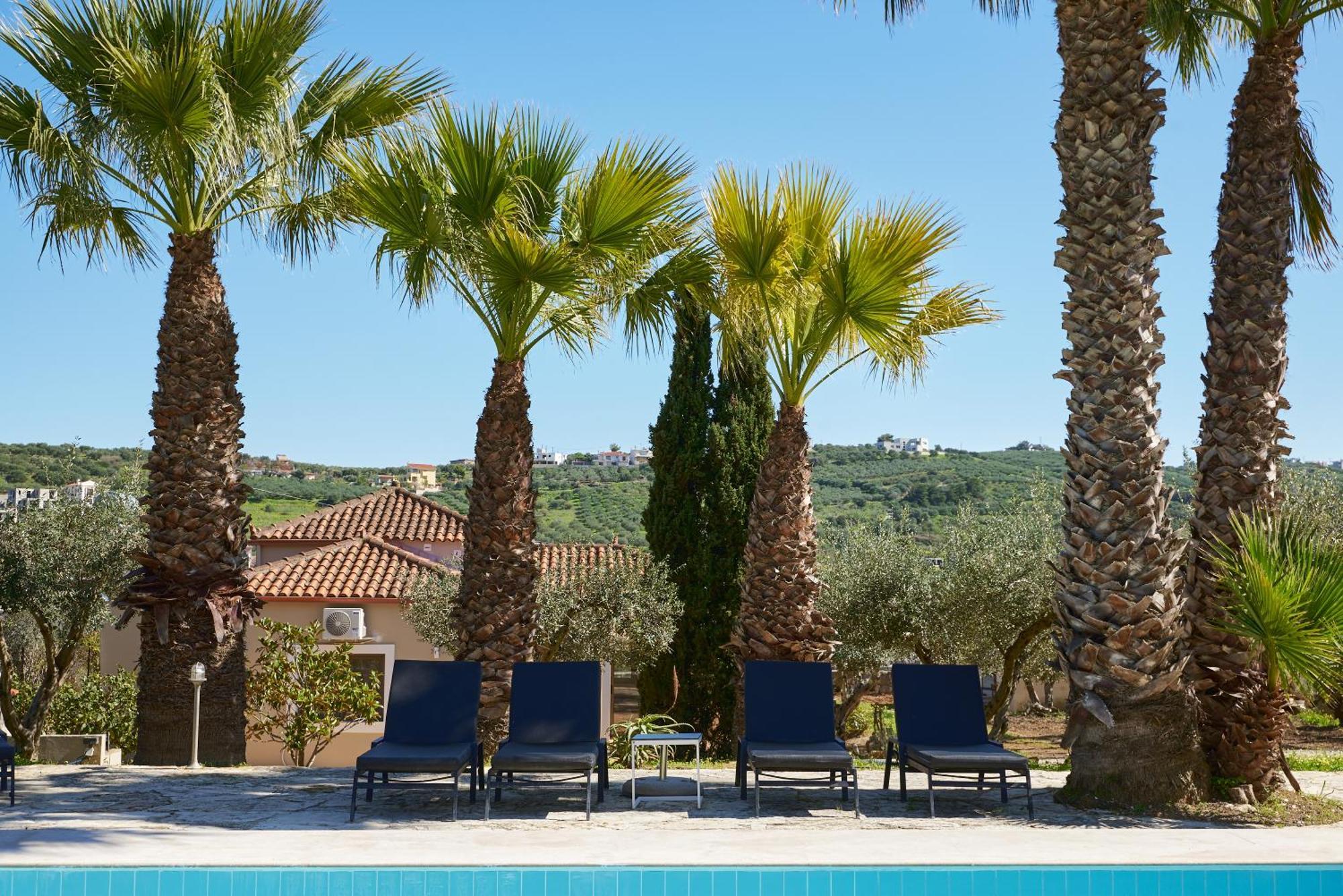 The Olive Grove Villas With Swimming Pool And Breakfast Архане Екстер'єр фото